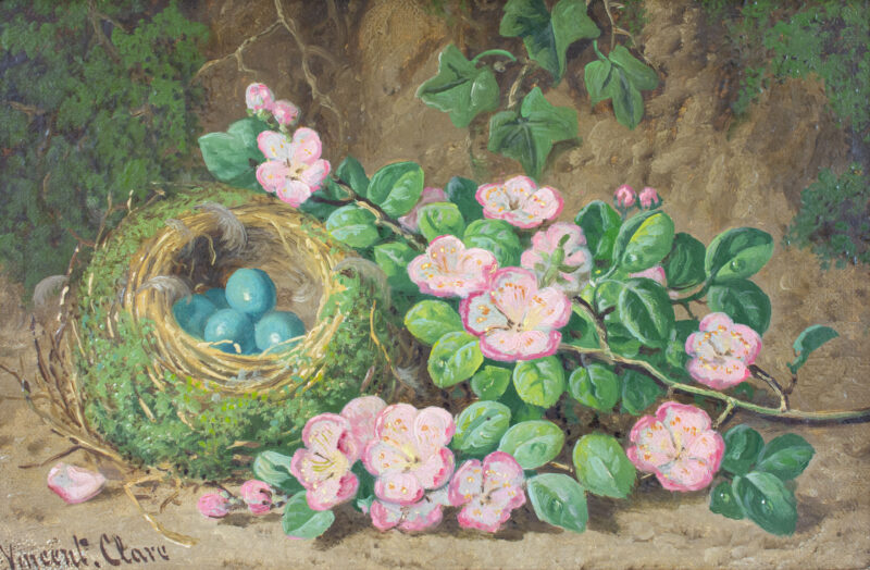 Vincent Clare (England, 1855 - 1930) - Stillleben mit Nest und blauen Vogeleiern - Bild 1