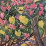 Zitronenbaum auf Mallorca_75609_428-1