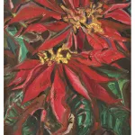 Zwei Weihnachtssterne_75609_550-1