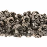 Menschenköpfe (wohl Porträts von KZ-Insassen)_75609_609-2