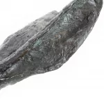 Zwei kämpfende Hasen_81210_386-3