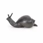 Frosch und Schnecke_81210_387-3