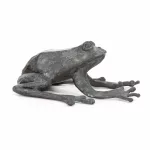 Frosch und Schnecke_81210_387-6