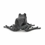Frosch und Schnecke_81210_387-7