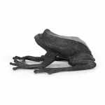 Frosch und Schnecke_81210_387-8