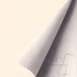 Blattecke'_81210_404-1