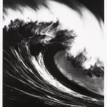 Spanish blood'_81210_417-1