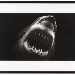 Bruce'_81210_419-2