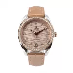 Omega Seamaster Aquaterra 150M_81213_284-1