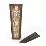 'Memento Mori' Miniatur- bzw. Betrachtungssarg mit Tödlein_84075_183-1