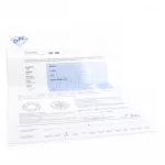 Diamant mit DPL Expertise_84080_31-4