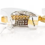 Bicolor-Diamantohrclips_84080_79-3
