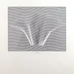 Heinz Mack (1931 Lollar) (F) Fächer,_94749_148-2