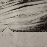 David Lynch (1946 Missoula, Montana -_94749_192-4