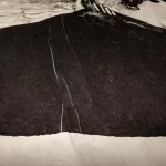 David Lynch (1946 Missoula, Montana -_94749_193-4