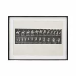 Eadweard Muybridge (1830 Kingston upon Thames - 1904 Kingston upon Thames)_Eadweard Muybridge (1830 Kingston upon Thames - 1904 Kingston upon Thames)_96389_189-1