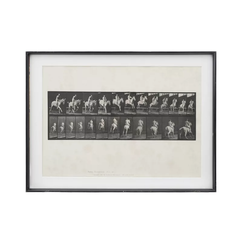 Eadweard Muybridge (1830 Kingston upon Thames - 1904 Kingston upon Thames)